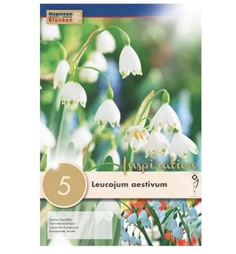 Bulbi Autunnali di Leucojum Aestivum confezione da 5 pz KAPITEYN