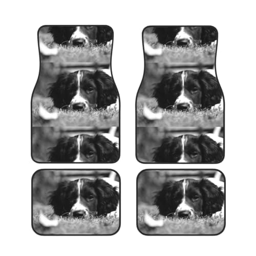 Alfombrillas de coche de Springer Spaniel inglés: evita manchas y suelos sucios 1