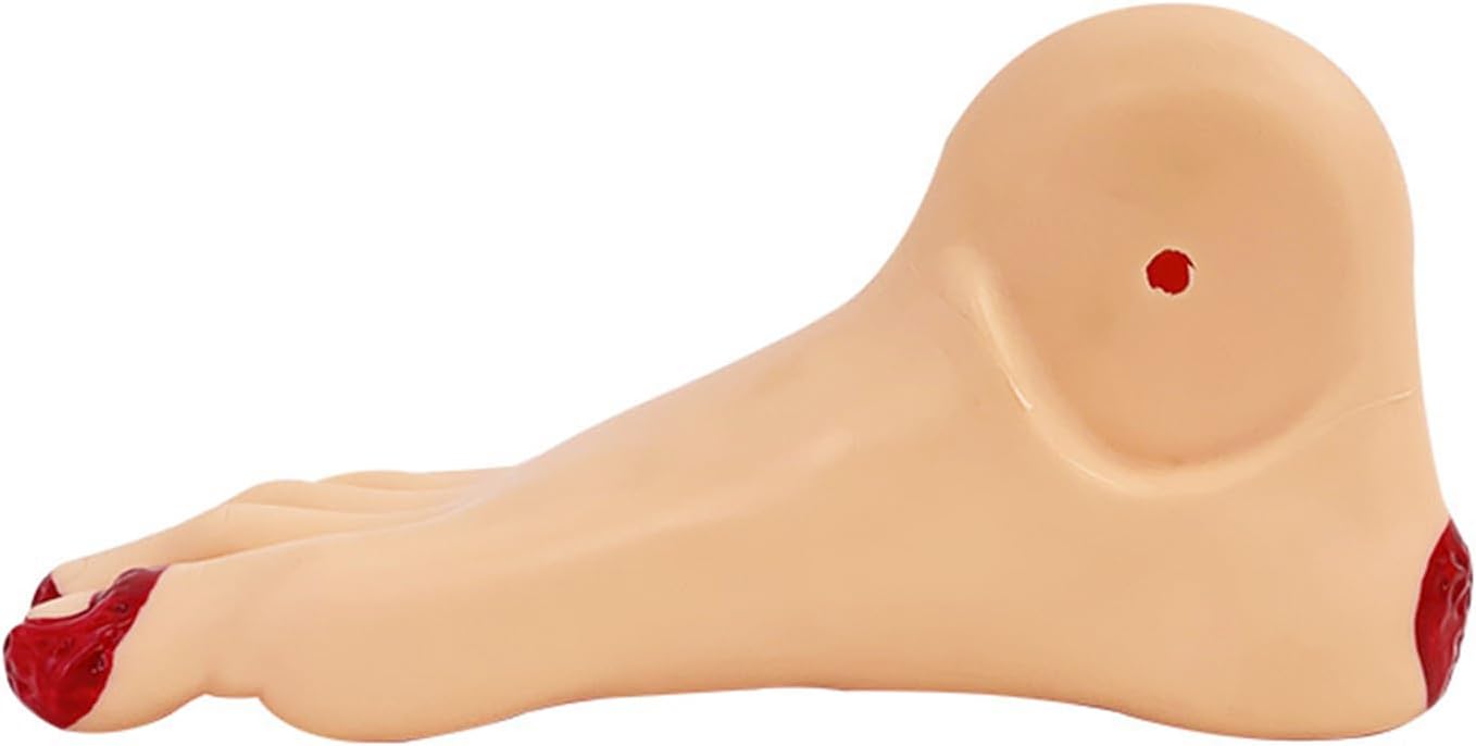 Diabetic Foot Nursing Model Diabetic Foot Care Training Model Care Training