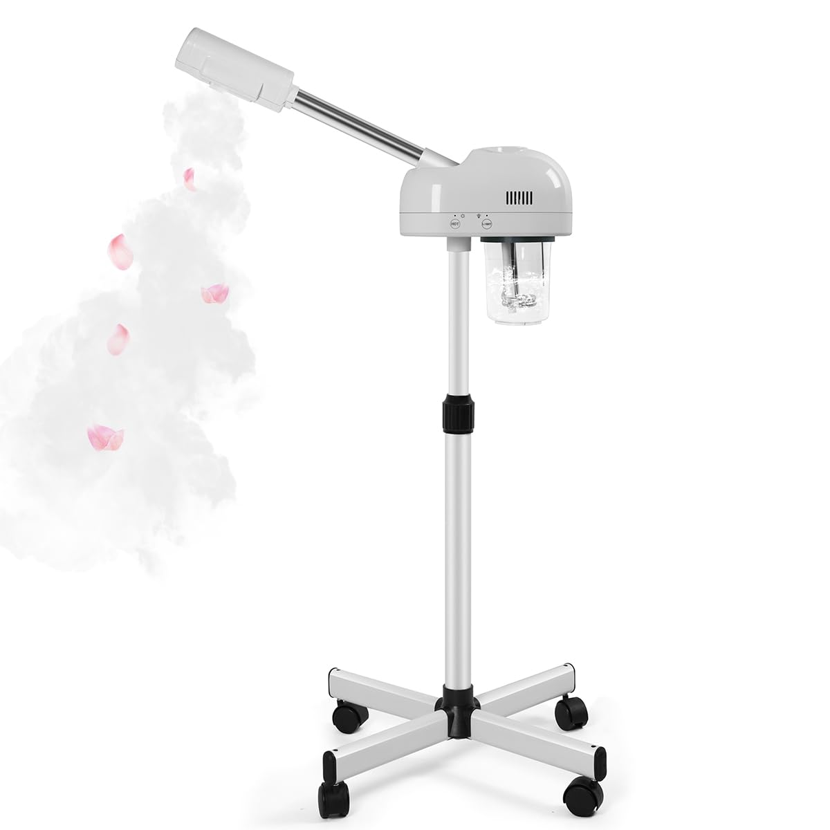 TASALON Professional Facial Steamer