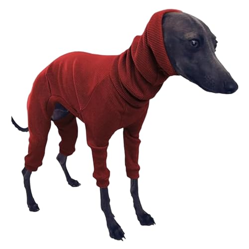 Wedhapy Suéter Greyhound para cães, pijama de galgo de algodão, roupas de galgo de quatro pernas, co