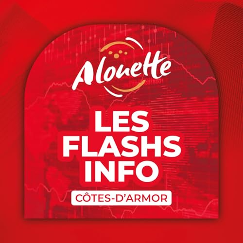 ALOUETTE - LES INFOS DU 22/01/2026 19H00 EN C&Ocirc;TE-D'ARMOR