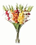 Petals Gladiolus Silk Flower Arrangement - Mixed Colors