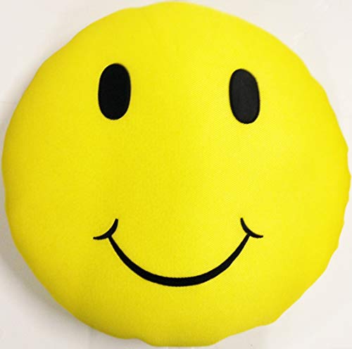 Main Access - Smiley Face - Seaside Rider Swimming Pool Float Raft for Teens, Adults