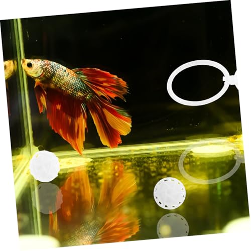 Set de entrenamiento y filtro para pez Betta con ventosa fuerte miniatura 5