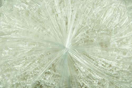 Image of Stout by Envision Clear LLDPE ProPerformance Coreless Bags, 33 inch X 39 inch, 33 Gallon Capacity, .8 Mil thick, 125 Bags, Made in the USA (STO-L3339C70)