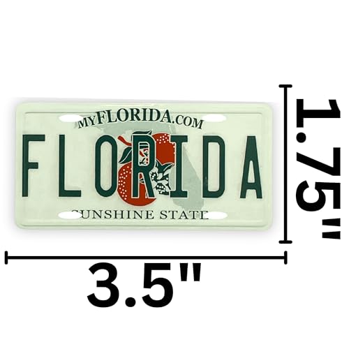 Imán decorativo de placa de Florida miniatura miniatura 2