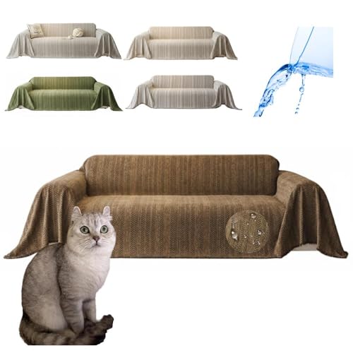 Lifetips AJJ[ American Curl \t@[Jo[ k  􂦂 h }`Jo[ 2l| 3l| It IȂ ~ Eh~ LΉ lGʗp iuEj i300180CMj