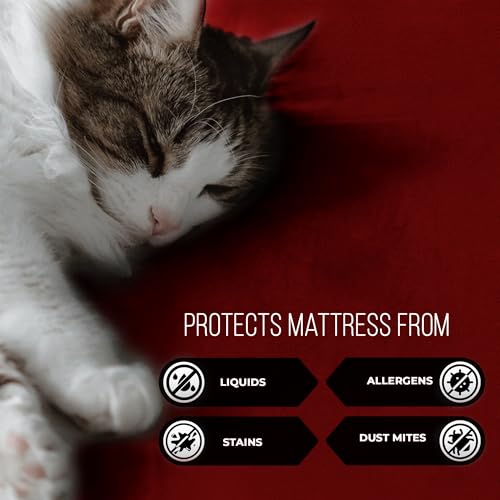 Image of Bed Protector Queen Size (78x60 inch)| 100% Waterproof Mattress Protector Double Bed|Dustproof, Soft Terry Cotton, Hypoallergenic & Breathable Fitted Elastic Mattress Cover - Maroon