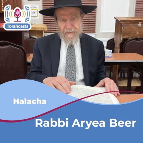Rabbi Aryeh Beer cover art