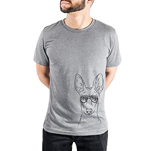 Aviator Ruadh The Pharaoh Hound Men's/Women's Triblend T-Shirt Unisex Crewneck Small Grey