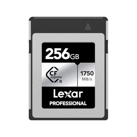 Lexar CFexpress 256Go Silver Cover