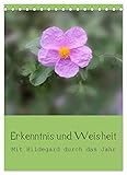 VIELFALT - Bildkalender in verschiedenen Formaten z.B. DIN A5, DIN A4, DIN A3 sowie DIN A2. Ob Naturmotiv, Gemälde oder Fotos, ideal für ein persönliches Wohlfühlambiente.