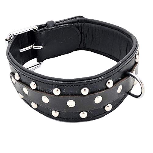 Fdc Genuine Real Leather Dog Collar Metal Buckle Handmade For Medium And Large Breeds (Black Padded Rivet, Xl: Neck 19" - 23") #TOP3