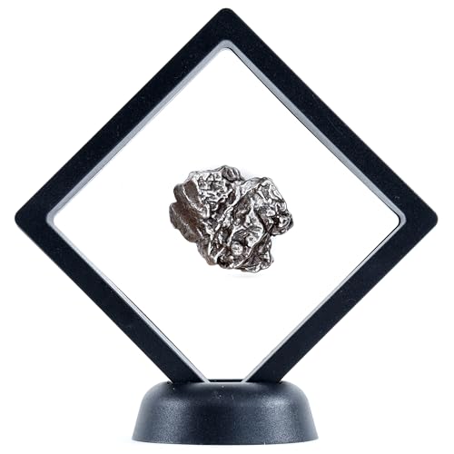 DANCING BEAR Real Meteorite Extra Large (35-55g) Genuine from Campo Del Cielo Argentina, Certificate of Authenticity, Display Stand, ID Card, Space Rock, Assembled in The USA