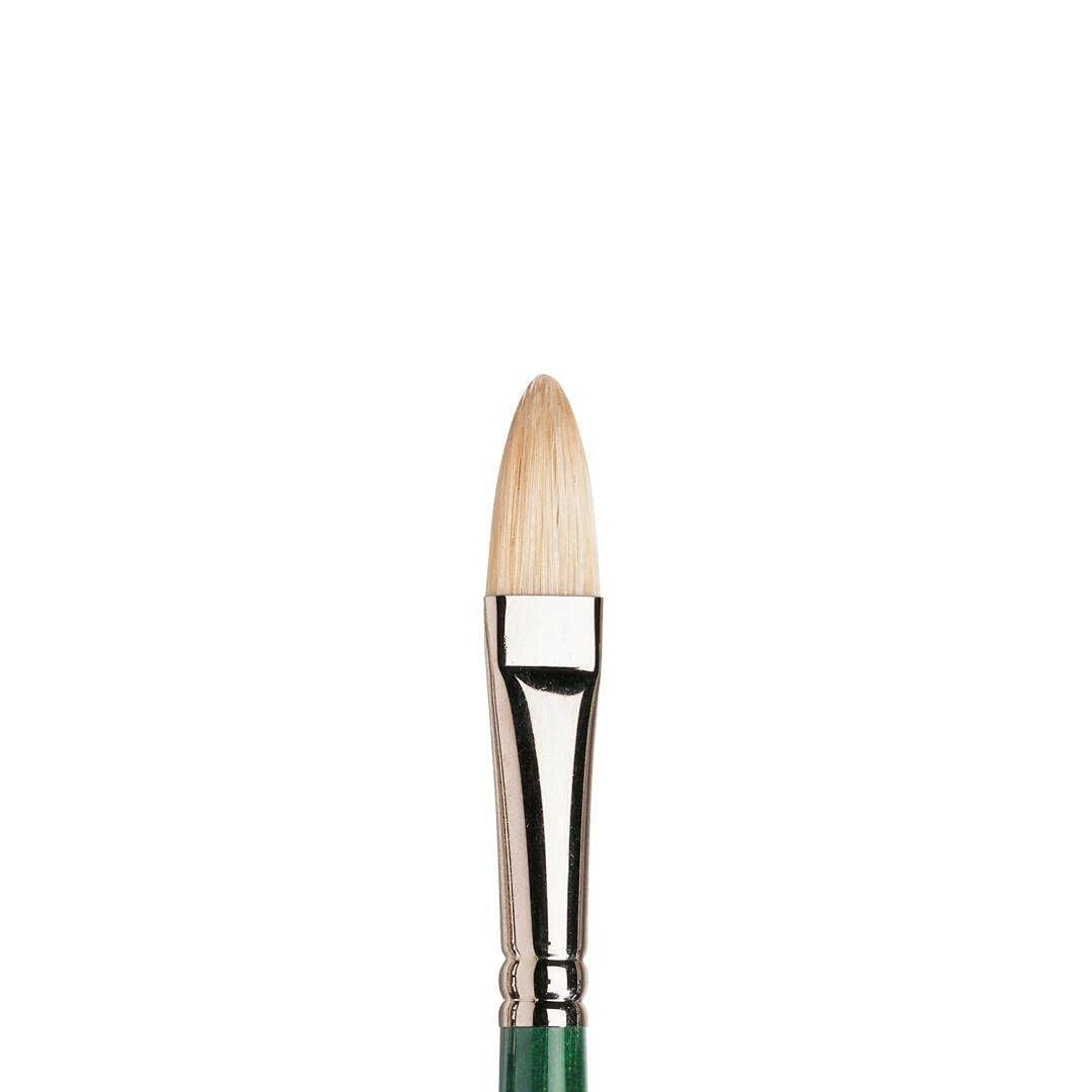 Winsor & Newton Size 8 Winton Hog Filbert Brush