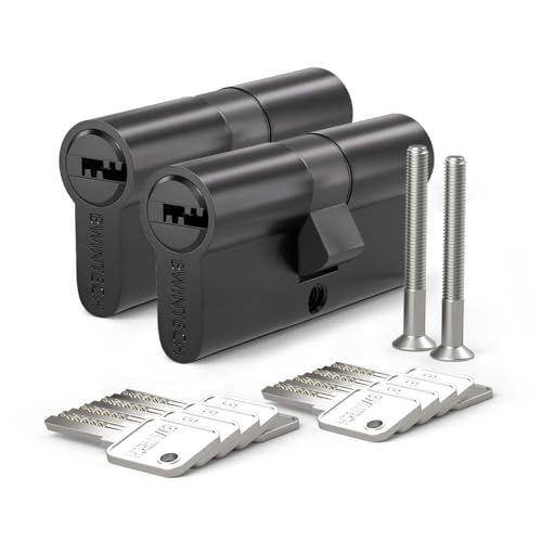 Bwintech 2 Cylindre en Laiton Euro 40/40mm, Serrure à Clé/Barillet...