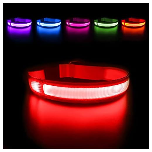 MASBRILL LED Dog Collar,Night Collar Dog DC Rechargeable Waterproof Durable Glowing Dog Collar 4 Colors for Choice