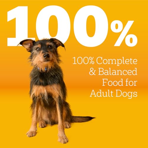 Pedigree Complete Nutrition Adult Dry Dog Food, Grilled Steak & Vegetable Flavor, 30 lb. Bag