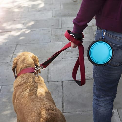 Faltbarer Hundenapf 2 Stück Hundenapf Faltbar Wassernapf Tragbarer Hund Futternapf Haustier Reisenapf für Katzen, Hunde und Haustiere für Wasser und Futter (350ml)