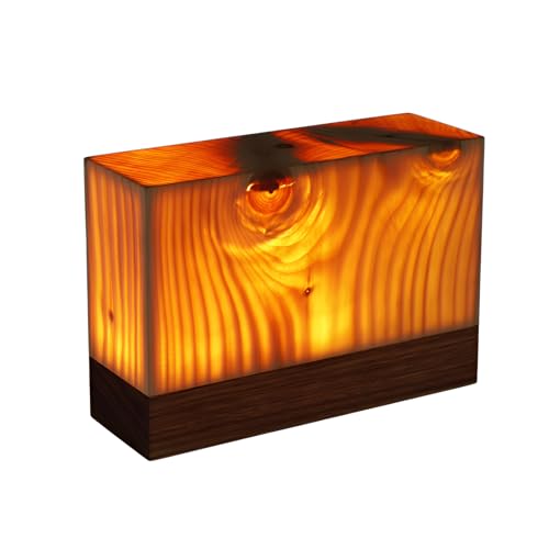 [Cociliye]ؖڃiCgCg xbhTChΉ VRؐLEDX^h ԐڏƖ @\t /USB-C[d rOEAEghAp LO/zjv[g