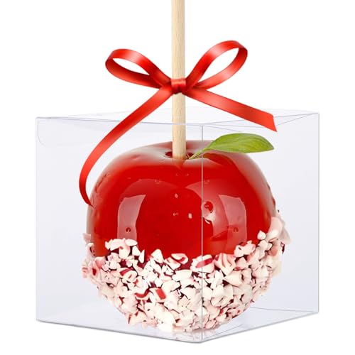 QKEL 30 Pack Clear Candy Apple Boxes with Hole 4x 4x 4 Transparent Favor Boxes Food-Grade Treat Boxes for Cake Pops Caramel Apples Chocolates and Cookies Christmas