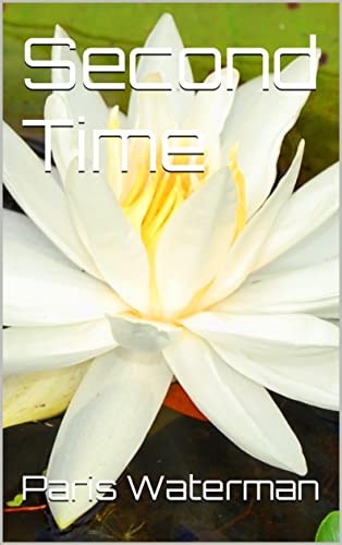  Second Time (English Edition)
