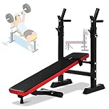 【6 niveles de altura ajustable】: la altura de las pesas ajustable con mangos de pull-up pueden satisfacer las diferentes necesidades de entrenamiento. También puede ayudarte con el entrenamiento de fuerza con mancuernas.