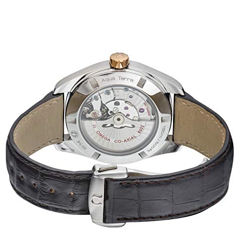 Omega Seamaster Aqua Terra Automatic Movement Grey Dial Men's Watch 231.23.42.22.06.0013