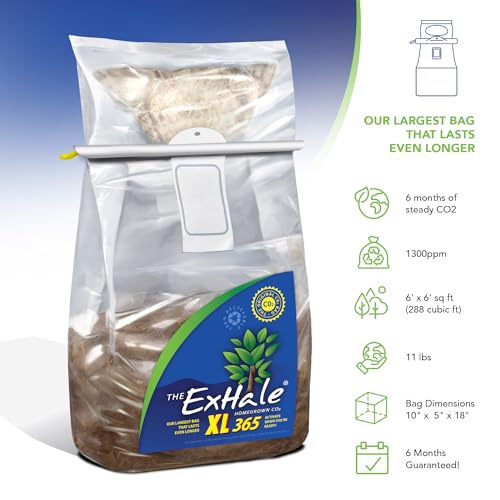 Exhale Homegrown CO2 XL 365