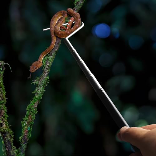 Homaisson Ferramenta de captura de cobra, gancho de cobra de aço inoxidável, comprimento ajustável d