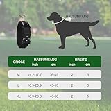 FEimaX Hundehalsband Personalisiert Hunde Halsband für Kleine Mittelgroße Hunde, Breite Reflektierende Verstellbares Taktisch Hundehalsband mit Metallschnalle für Ausbildung (Schwarz, M)