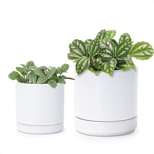 D'vine Dev 2-Pack Ceramic Pots & Saucers, White, 3.5/4.7 in, 94-G-XS-1