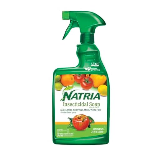 Natria Insecticidal Soap, Ready-to-Use Garden Bug Treatment, Insect Killer for Indoor and Outdoor Plants, 24 Ounce