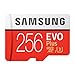 SAMSUNG 256GB EVO Plus MicroSDXC w/Ad