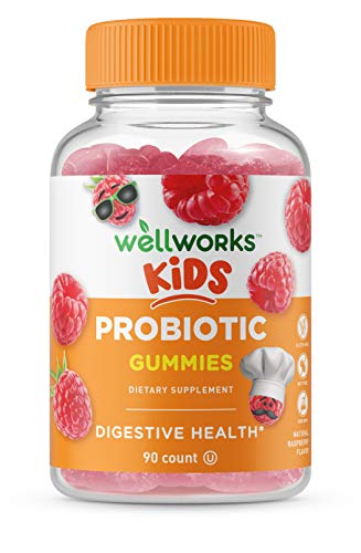 WellWorks Probiotics for Kids  Great Tasting Natural Flavor Gummy  Gluten Free Vegetarian GMO-Free Probiotic  for Gut Health and Immune Support  90 Gummies  45 Doses