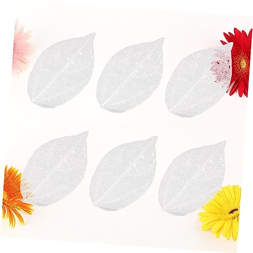 6pcs hojas secas naturales blancas para manualidades miniatura 5