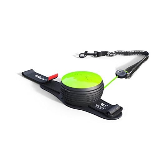 Lishinu LBL.01.B0B0NG Light Lock NEON Hundeleine, grün