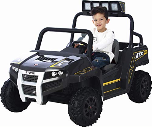 Preisvergleich Produktbild ROLLPLAY 35641 Storm UTV, schwarz