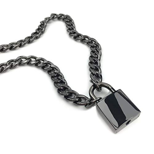 Succuba Padlock Necklace Chain Collar Choker with Two Keys and Box for Women, Men and Pet2