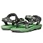 Centipede Vibrant Green