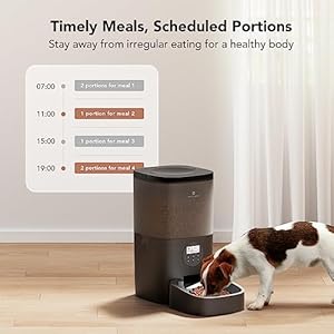 Petlibroautomaticdogfeeder6ldogfooddispenserwithtimerinteractivevoicerecorderautodogfeederwithdesiccantbag14mealsdryfoodblacktransparent Urban Country Home Decor Petlibro automatic dog feeder 6l dog food dispenser with timer interactive voice recorder auto dog feeder with desiccant bag 1 4 meals dry food black transparent urban country home decor