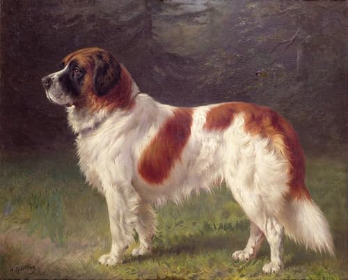 Toile Saint Bernard par Heinrich Sperling | Affiche Paysage 60x90cm