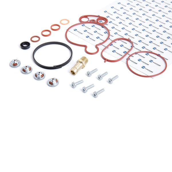 DR.MOTOR AUTOMOTIVE DRM0321 Kit riparazione Pompa a depressione (Sistema frenante)