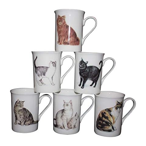Set of 6 Individual FINE Bone China Common FEELINE Cats Mugs Cups Gift Set Cover