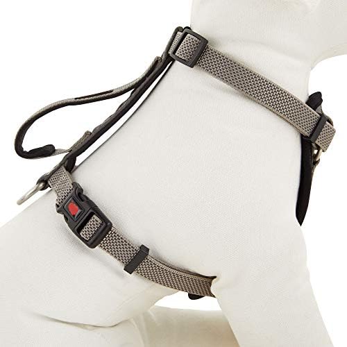 Kong vest harness Clearance