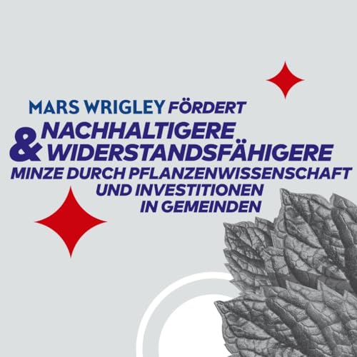 Extra Professional White Kaugummi, zuckerfrei, 50 Dragees