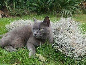 9 Topics On Tv Ga Aºa L Ba Aºa Gs Pra Aºa Ma A A Um Spa Aºa Na La A A Va Aºa