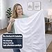 Cottington Lane 1 Piece Sleeper Sofa Fitted Sheet Queen Size, Premium Quality 100% Egyptian Cotton, 6 Inch Deep Sofa Bed/Pullout Couch Bottom Sheet Only, Cooling, Soft & Breathable, White