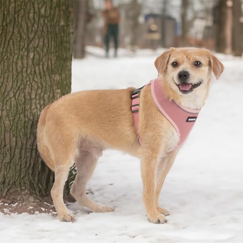 Image of Best Pet Supplies Voyager Aerolite Over the Head Dog Harness, No Pull Breathable Air Mesh Vest, Quick Dry with Reflective Stitching, Adjustable Escape Resistant Harness - Pink, Large